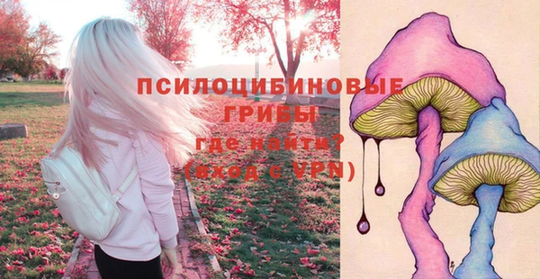 амфетамин Покров