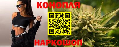 сатива Гай