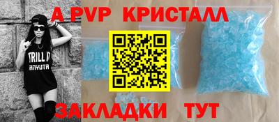 сатива Гай
