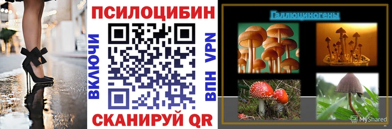Псилоцибиновые грибы MAGIC MUSHROOMS  закладка  Коммунар 
