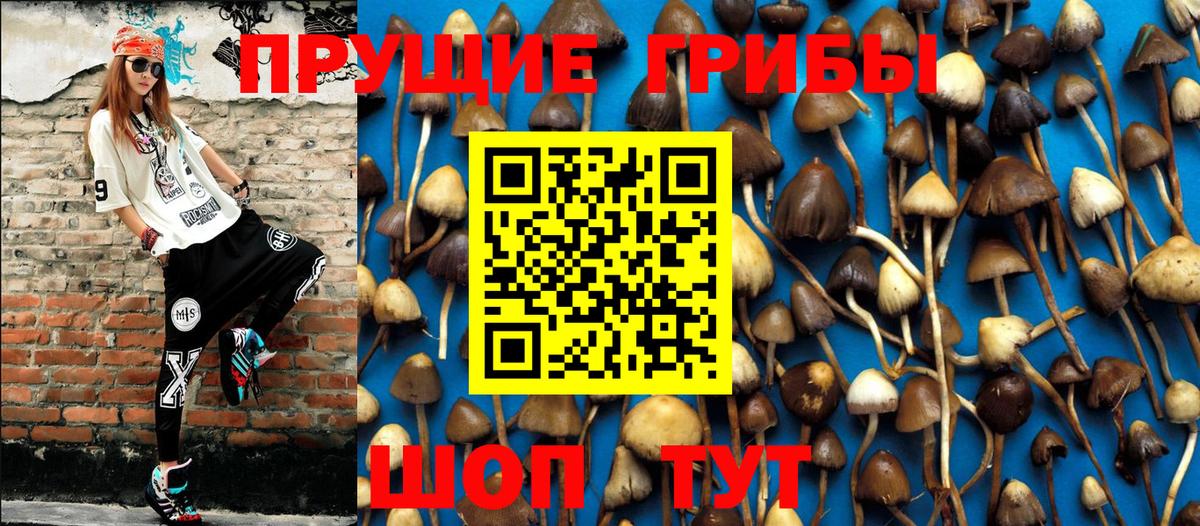 Псилоцибиновые грибы GOLDEN TEACHER  Вход с VPN  Коммунар  купить наркотик  Псилоцибиновые грибы мухоморы 