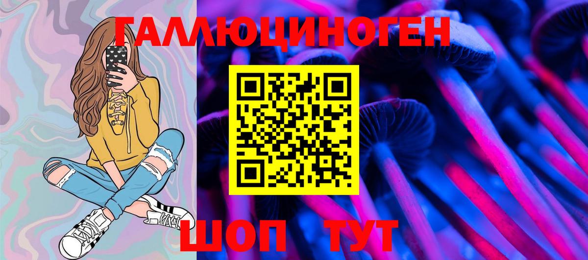 Галлюциногенные грибы Psilocybe Коммунар
