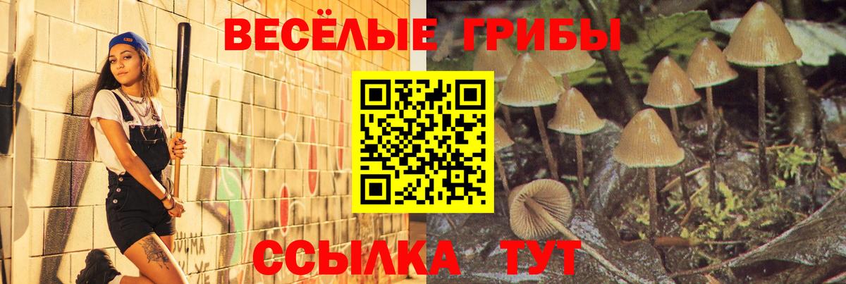 Галлюциногенные грибы MAGIC MUSHROOMS Коммунар